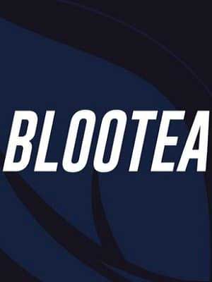 BlooTea-fortnite-player